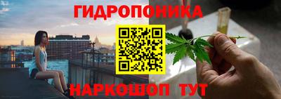 стаф Балахна