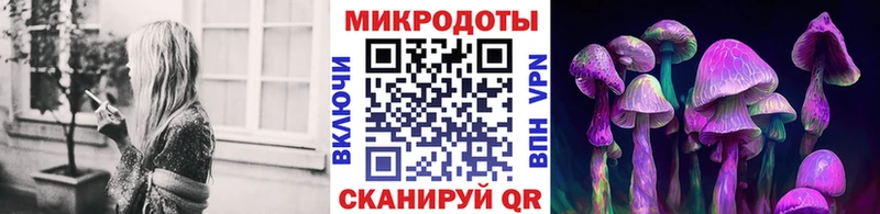 Галлюциногенные грибы Psilocybe  Кохма 