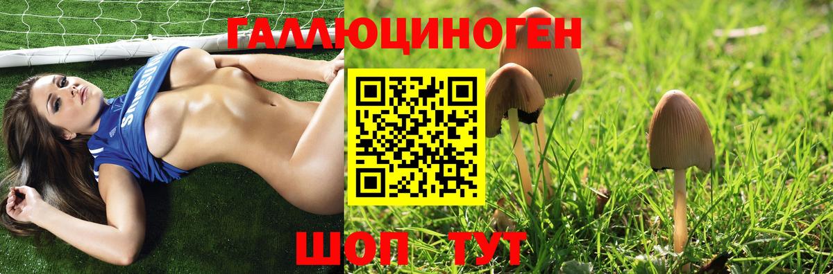 Псилоцибиновые грибы Psilocybine cubensis Кохма
